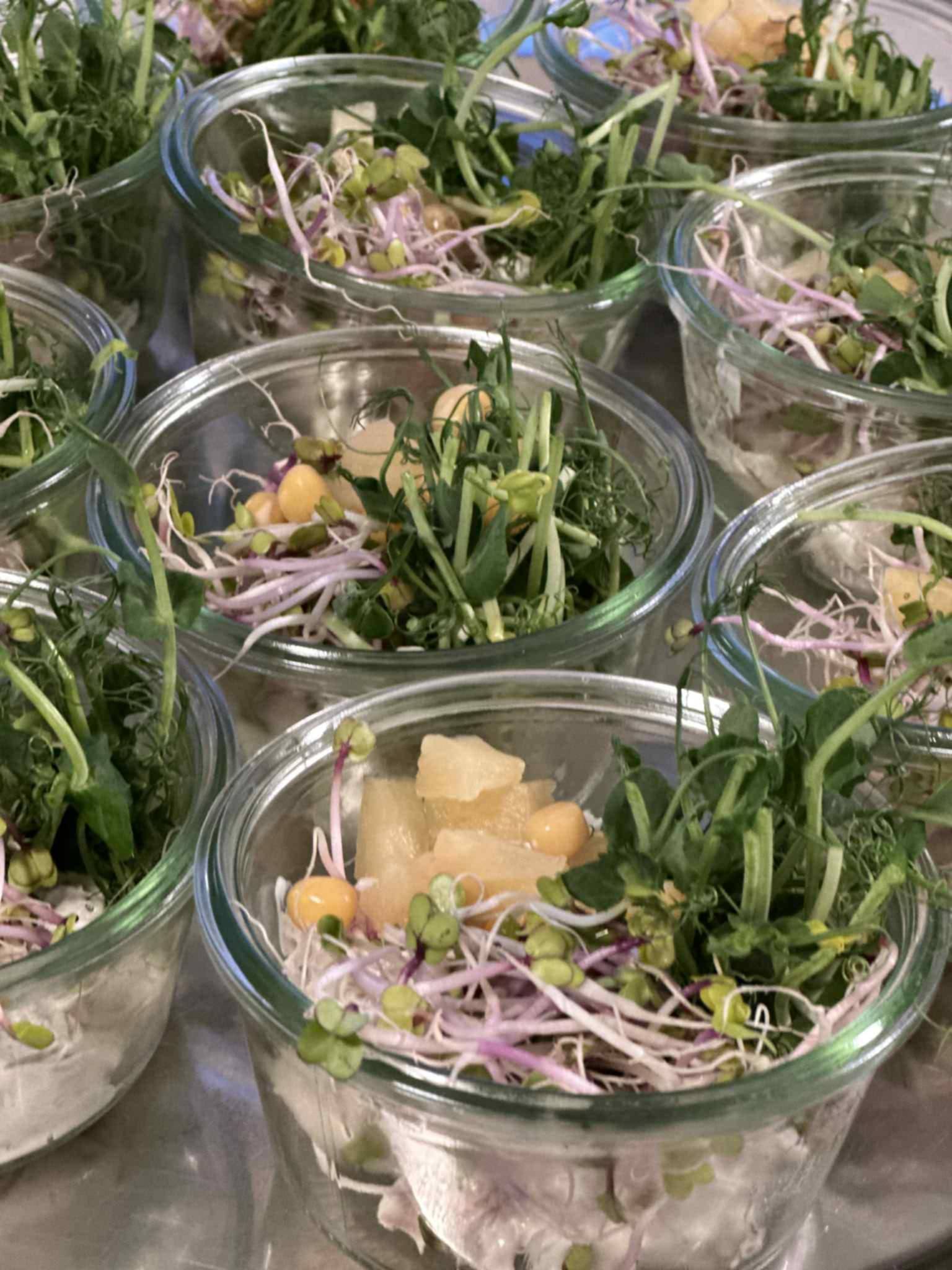 627336147_122164654028614179_669000829132869702_n