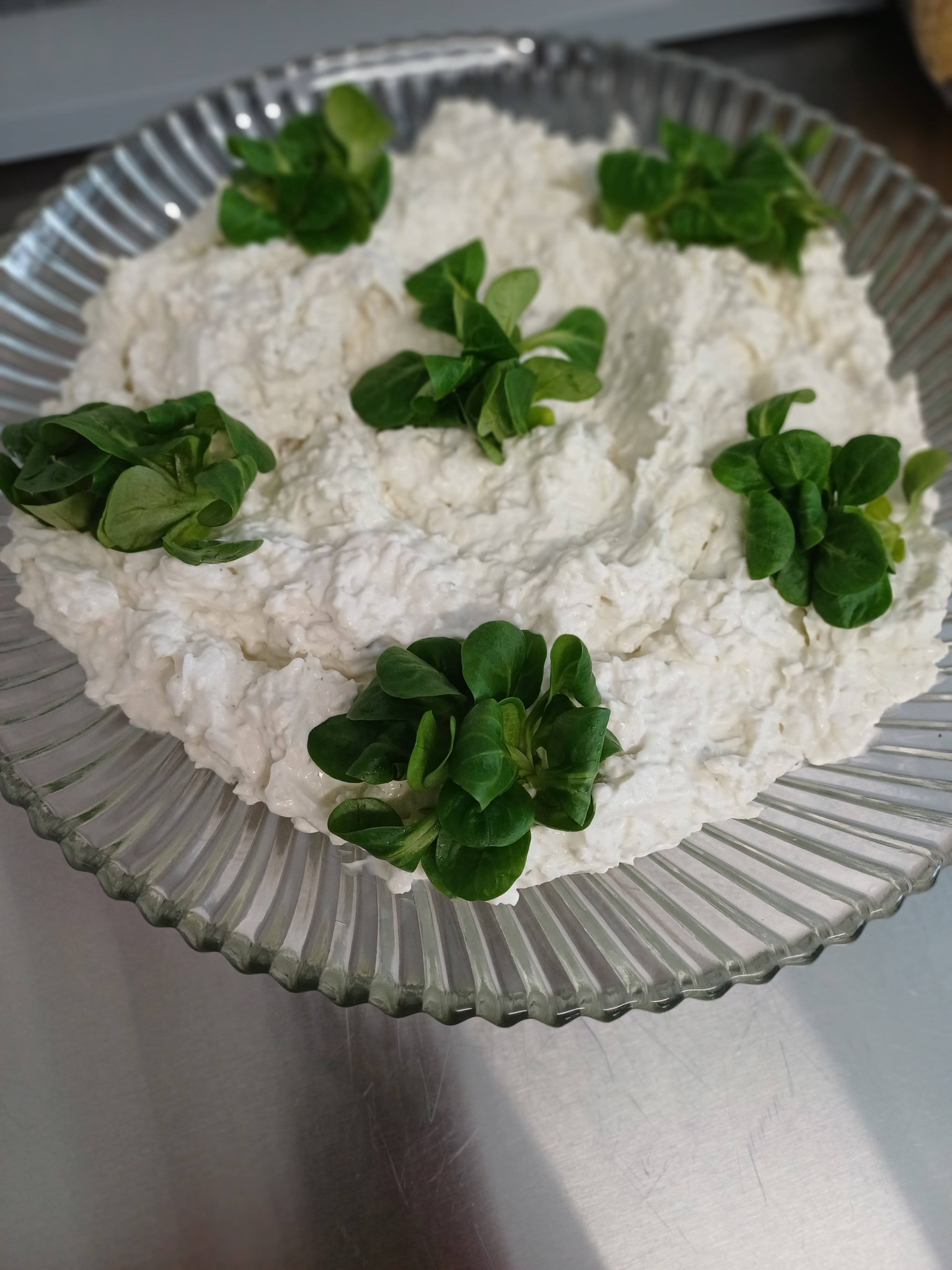 634883732_122165766860614179_8356063568458187757_n