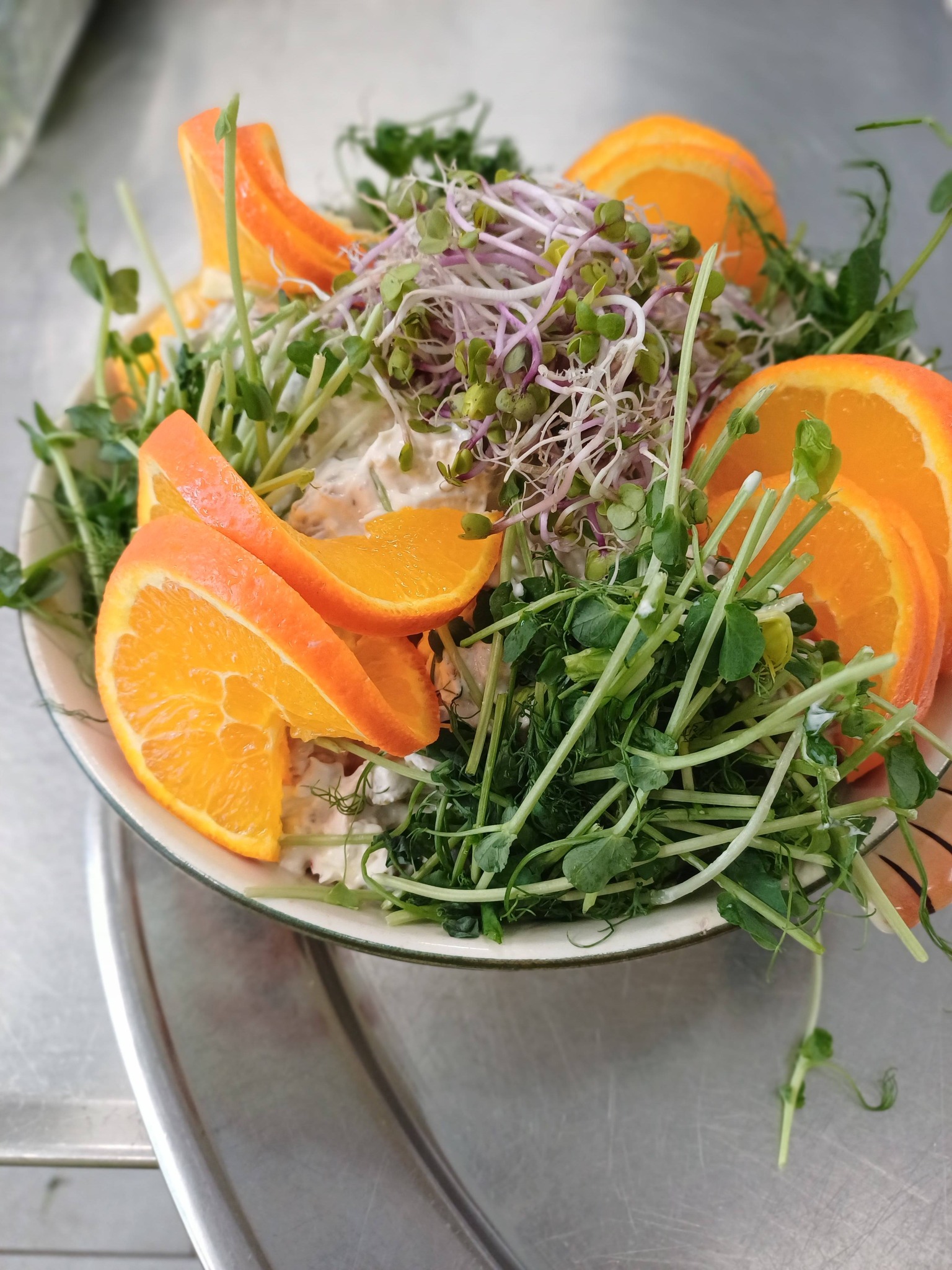 634903772_122165766764614179_6465983903622518079_n